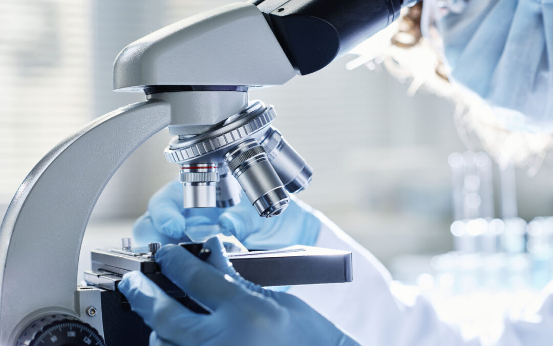 Elexial Research, categoría C